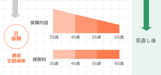 【見直し後】保険B：逓減（ていげん）定期保険